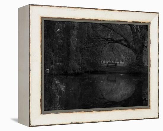 Green World-Irene Suchocki-Framed Premier Image Canvas