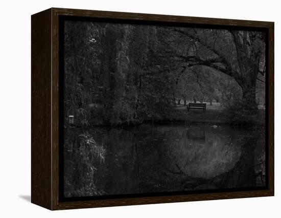 Green World-Irene Suchocki-Framed Premier Image Canvas