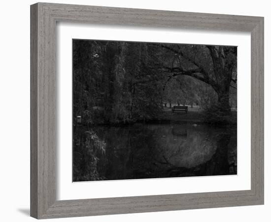 Green World-Irene Suchocki-Framed Photographic Print