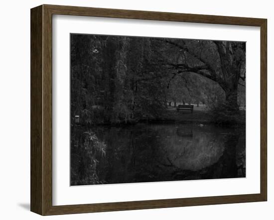 Green World-Irene Suchocki-Framed Photographic Print