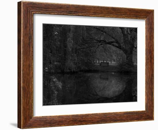 Green World-Irene Suchocki-Framed Photographic Print