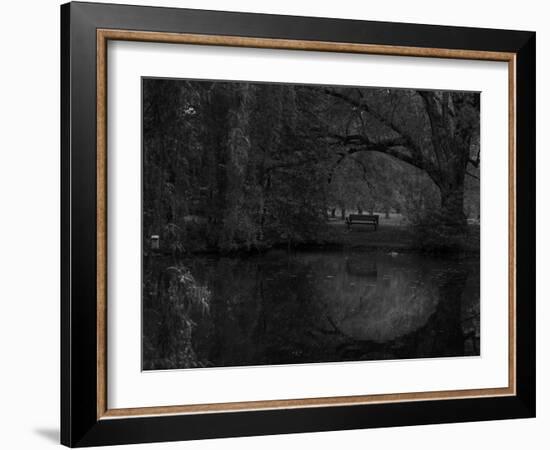 Green World-Irene Suchocki-Framed Photographic Print