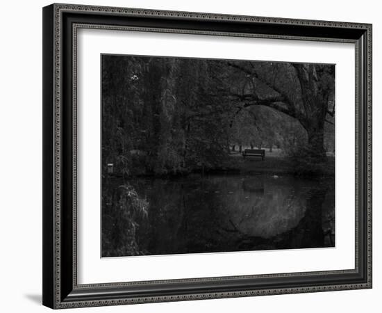 Green World-Irene Suchocki-Framed Photographic Print