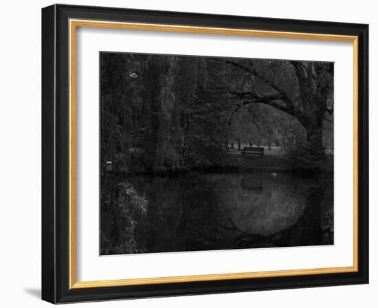 Green World-Irene Suchocki-Framed Photographic Print