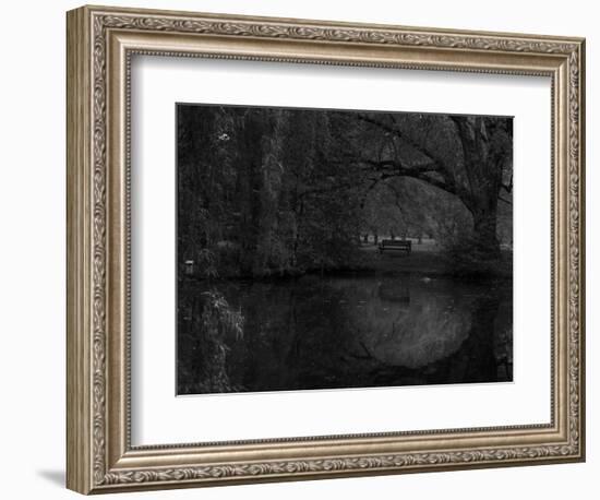 Green World-Irene Suchocki-Framed Photographic Print