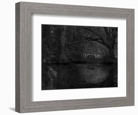 Green World-Irene Suchocki-Framed Photographic Print