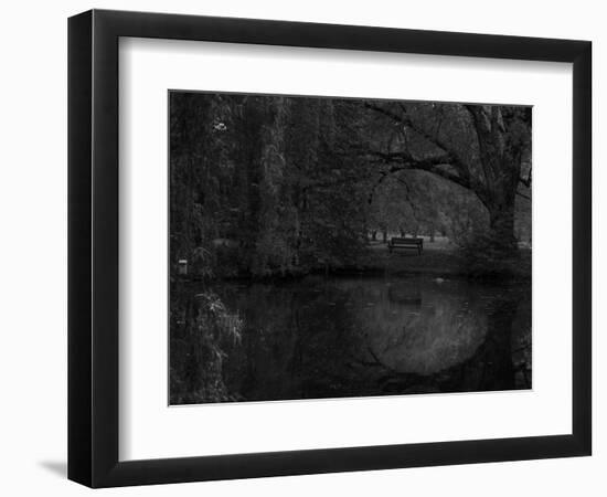 Green World-Irene Suchocki-Framed Photographic Print