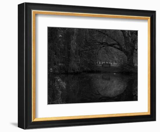 Green World-Irene Suchocki-Framed Photographic Print