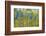 Green Yellow Aspen Trees-duallogic-Framed Photographic Print