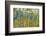 Green Yellow Aspen Trees-duallogic-Framed Photographic Print