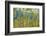 Green Yellow Aspen Trees-duallogic-Framed Photographic Print