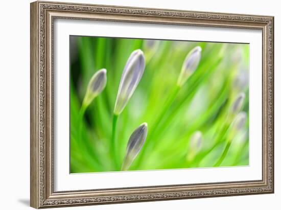 Green-Ursula Abresch-Framed Photographic Print