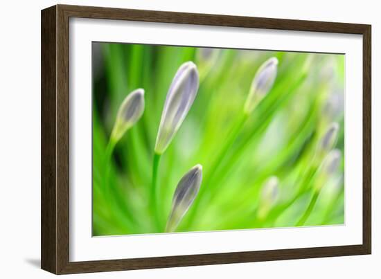 Green-Ursula Abresch-Framed Photographic Print