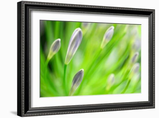 Green-Ursula Abresch-Framed Photographic Print