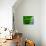 Green-Jeroen Van-Photographic Print displayed on a wall