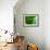 Green-Jeroen Van-Framed Photographic Print displayed on a wall