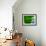 Green-Jeroen Van-Framed Photographic Print displayed on a wall