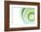 Green-Karyn Millet-Framed Photographic Print