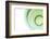 Green-Karyn Millet-Framed Photographic Print