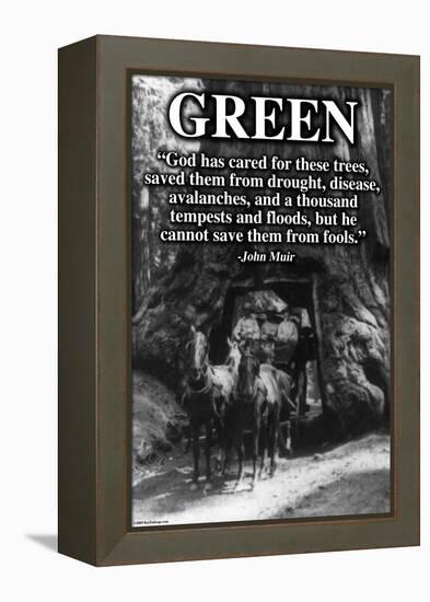 Green-Wilbur Pierce-Framed Stretched Canvas