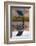 Greenbacked (striated) heron (Butorides striatus), Zimanga private game reserve, KwaZulu-Natal-Ann and Steve Toon-Framed Photographic Print