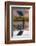 Greenbacked (striated) heron (Butorides striatus), Zimanga private game reserve, KwaZulu-Natal-Ann and Steve Toon-Framed Photographic Print