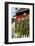 Greenbank Farm, Whidbey Island, Washington, USA-Richard Duval-Framed Photographic Print