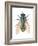 Greenbottle Fly (Lucilia Caesar), Insects-Encyclopaedia Britannica-Framed Art Print