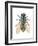 Greenbottle Fly (Lucilia Caesar), Insects-Encyclopaedia Britannica-Framed Art Print