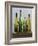 Greener Glass-Mark Chandon-Framed Giclee Print