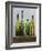 Greener Glass-Mark Chandon-Framed Giclee Print