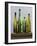 Greener Glass-Mark Chandon-Framed Giclee Print