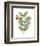 Greenery Butterflies III-Wild Apple Portfolio-Framed Art Print