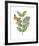 Greenery Butterflies III-Wild Apple Portfolio-Framed Art Print