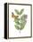 Greenery Butterflies III-Wild Apple Portfolio-Framed Stretched Canvas