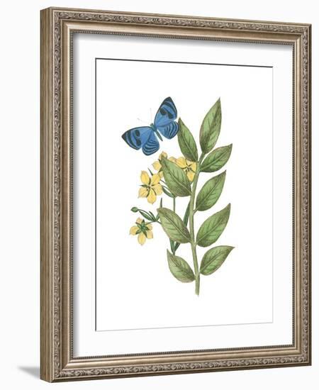 Greenery Butterflies IV-Wild Apple Portfolio-Framed Art Print