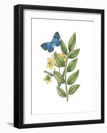 Greenery Butterflies IV-Wild Apple Portfolio-Framed Art Print