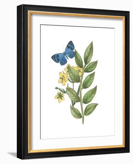 Greenery Butterflies IV-Wild Apple Portfolio-Framed Art Print