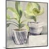 Greenery Still Life with Navy-Albena Hristova-Mounted Art Print