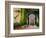 Greenery Surrounding Wooden Door, Provence, France-Tom Haseltine-Framed Photographic Print