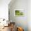 Greenest Pastures-Assaf Frank-Giclee Print displayed on a wall