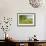 Greenest Pastures-Assaf Frank-Framed Giclee Print displayed on a wall