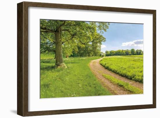 Greenest Pastures-Assaf Frank-Framed Giclee Print