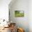 Greenest Pastures-Assaf Frank-Mounted Giclee Print displayed on a wall