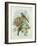 Greenfinch, 1873-John Gould-Framed Giclee Print