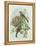 Greenfinch, 1873-John Gould-Framed Premier Image Canvas