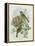 Greenfinch, 1873-John Gould-Framed Premier Image Canvas