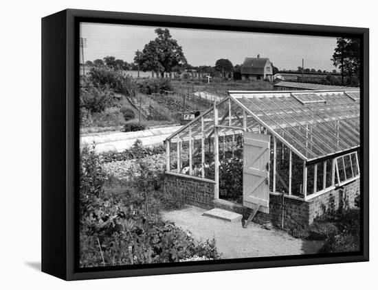 Greenhouse, Fox Ash-null-Framed Premier Image Canvas