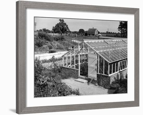 Greenhouse, Fox Ash-null-Framed Photographic Print