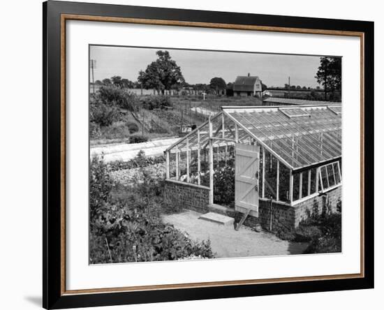 Greenhouse, Fox Ash-null-Framed Photographic Print